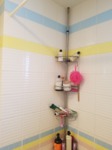 existing shower with 1970s pastel wall tile