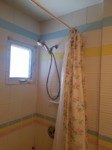 existing shower with 1970s pastel wall tile
