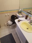 existing bathroom photo showing vanity and toilet