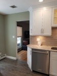 Stainless dishwasher 