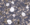 Floral wallpaper sample with white flowers and taupe leaves
